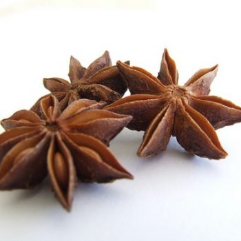 Lakshmi Csillaganizs, 10g